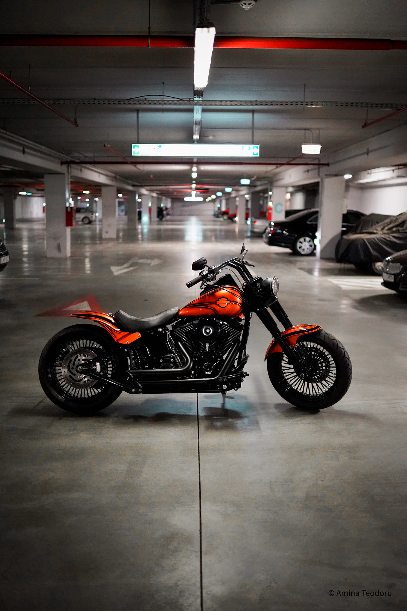 Mechanical Orange - foto 4